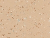 Sandcastle