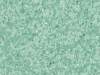 Wild-Mint