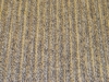 Hessian